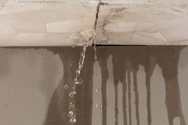 Professional Burst Pipe Cleanup technician working in Harcourt, IA